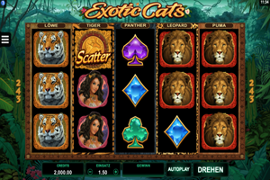 Exotic Cats Spielautomat